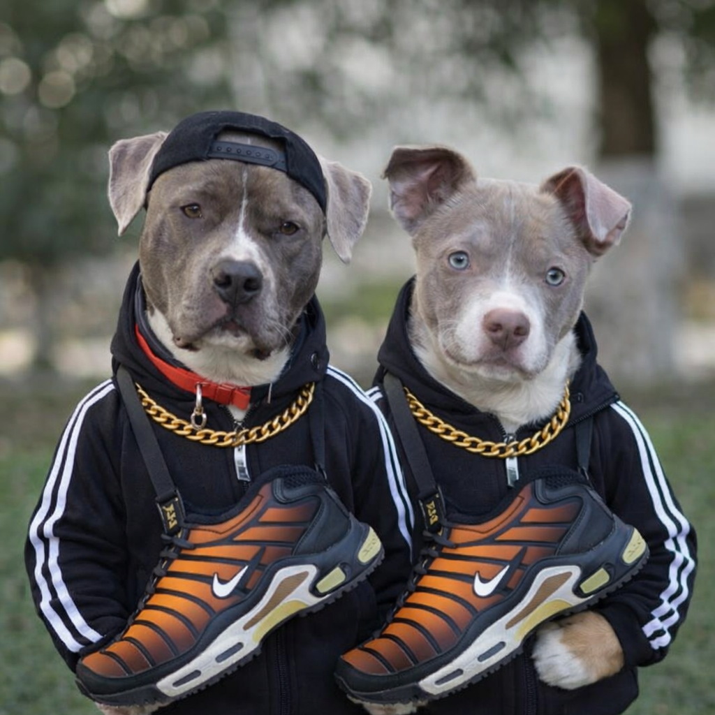 Coppia - I Fra Delle TN