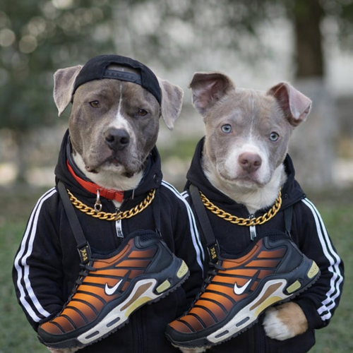 Coppia - I Fra Delle TN